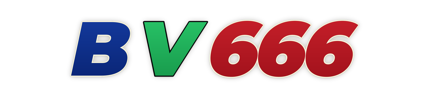 bv666 Logo